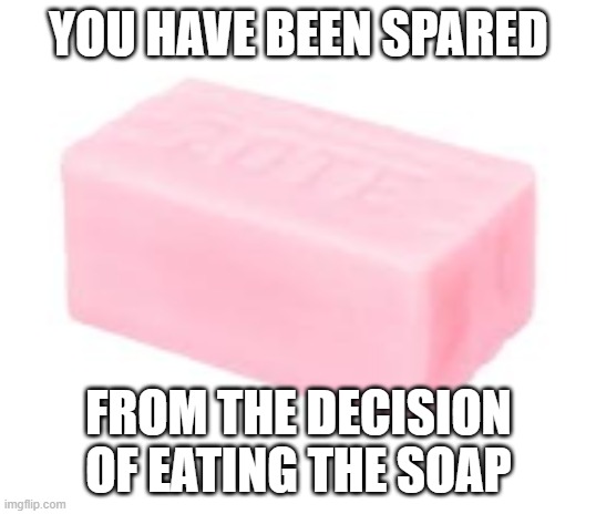 forbidden soap | YOU HAVE BEEN SPARED FROM THE DECISION OF EATING THE SOAP | image tagged in forbidden soap | made w/ Imgflip meme maker