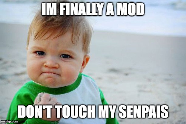 yey | IM FINALLY A MOD; DON'T TOUCH MY SENPAIS | image tagged in memes,success kid original | made w/ Imgflip meme maker