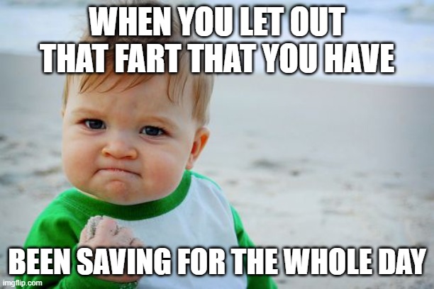 Success Kid Original | WHEN YOU LET OUT THAT FART THAT YOU HAVE; BEEN SAVING FOR THE WHOLE DAY | image tagged in memes,success kid original | made w/ Imgflip meme maker