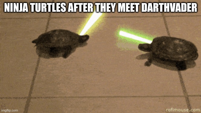 wow! | NINJA TURTLES AFTER THEY MEET DARTHVADER | image tagged in funny memes | made w/ Imgflip meme maker