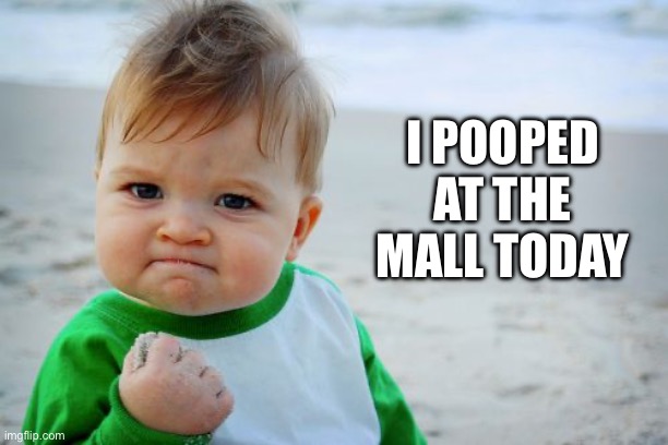 The poop | I POOPED
AT THE
MALL TODAY | image tagged in memes,success kid original | made w/ Imgflip meme maker