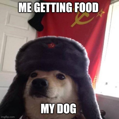Russian Doge | ME GETTING FOOD; MY DOG | image tagged in russian doge | made w/ Imgflip meme maker