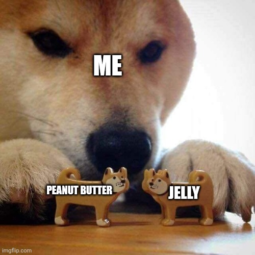 Pbj is awesome | ME; PEANUT BUTTER; JELLY | image tagged in dog now kiss | made w/ Imgflip meme maker
