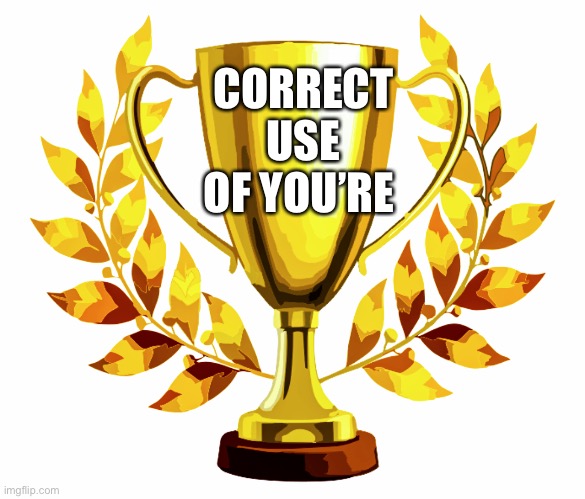 You Win! | CORRECT USE OF YOU’RE | image tagged in you win | made w/ Imgflip meme maker