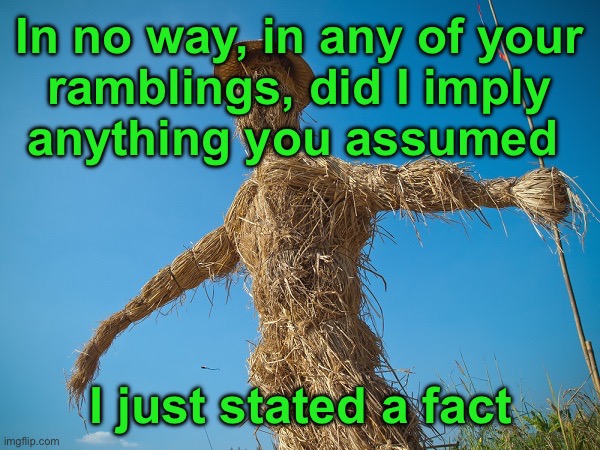 Strawman | In no way, in any of your
 ramblings, did I imply 
anything you assumed I just stated a fact | image tagged in strawman | made w/ Imgflip meme maker