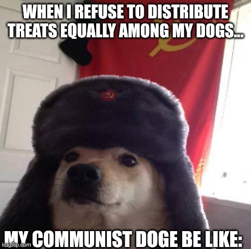 Russian Doge | WHEN I REFUSE TO DISTRIBUTE TREATS EQUALLY AMONG MY DOGS... MY COMMUNIST DOGE BE LIKE: | image tagged in russian doge | made w/ Imgflip meme maker