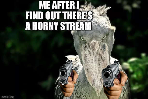 I’m scared for gen z bro | ME AFTER I FIND OUT THERE’S A HORNY STREAM | image tagged in devious shoebill,every day we stray further from god | made w/ Imgflip meme maker