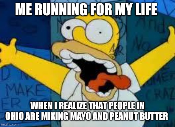 What is wrong with that state?!?!? | ME RUNNING FOR MY LIFE; WHEN I REALIZE THAT PEOPLE IN OHIO ARE MIXING MAYO AND PEANUT BUTTER | image tagged in homer going crazy | made w/ Imgflip meme maker