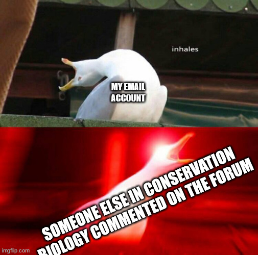 I get twenty of these emails every friday as people complete the homework | MY EMAIL ACCOUNT; SOMEONE ELSE IN CONSERVATION BIOLOGY COMMENTED ON THE FORUM | image tagged in inhaling seagull,so many emails,there is no end to them | made w/ Imgflip meme maker