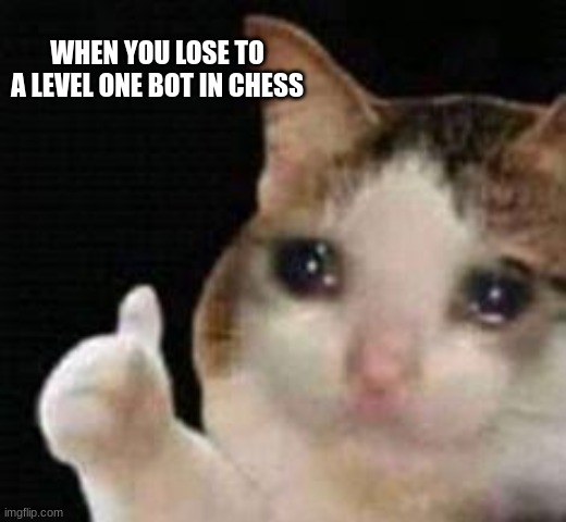 when you lose to a level one bot inchess | WHEN YOU LOSE TO A LEVEL ONE BOT IN CHESS | image tagged in approved crying cat | made w/ Imgflip meme maker