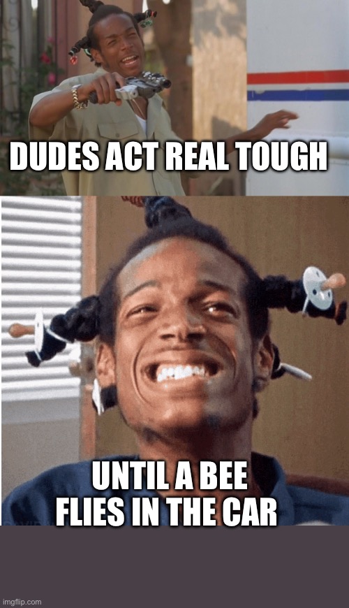 DUDES ACT REAL TOUGH; UNTIL A BEE FLIES IN THE CAR | image tagged in loc dog | made w/ Imgflip meme maker