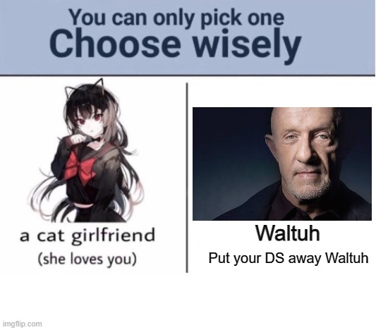 Choose wisely | Waltuh; Put your DS away Waltuh | image tagged in choose wisely | made w/ Imgflip meme maker