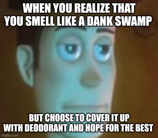 I sometimes do this... | WHEN YOU REALIZE THAT YOU SMELL LIKE A DANK SWAMP; BUT CHOOSE TO COVER IT UP WITH DEODORANT AND HOPE FOR THE BEST | image tagged in disappointed woody | made w/ Imgflip meme maker
