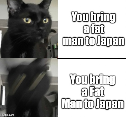 haha shout out to JMA's roomates cat (i love shouting out people that are way nmore popular then me) | You bring a fat man to Japan; You bring a Fat Man to Japan | image tagged in history,ww2 | made w/ Imgflip meme maker