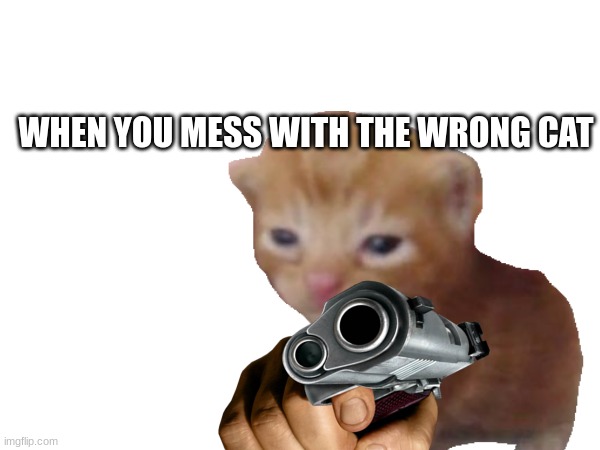 I'm done | WHEN YOU MESS WITH THE WRONG CAT | image tagged in bruh moment | made w/ Imgflip meme maker