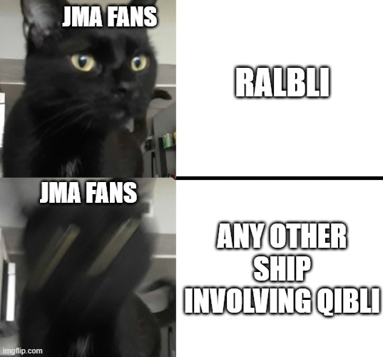 JMA fans be like |  JMA FANS; RALBLI; ANY OTHER SHIP INVOLVING QIBLI; JMA FANS | image tagged in wings of fire | made w/ Imgflip meme maker