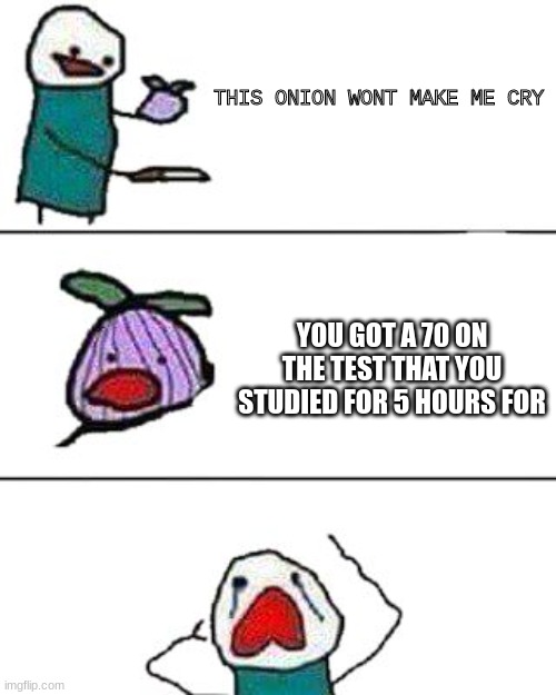 this onion won't make me cry | THIS ONION WONT MAKE ME CRY YOU GOT A 70 ON THE TEST THAT YOU STUDIED FOR 5 HOURS FOR | image tagged in this onion won't make me cry | made w/ Imgflip meme maker