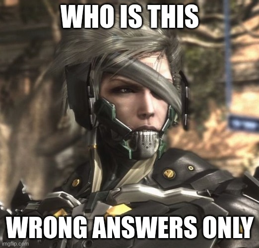 Raiden | WHO IS THIS; WRONG ANSWERS ONLY | image tagged in raiden | made w/ Imgflip meme maker