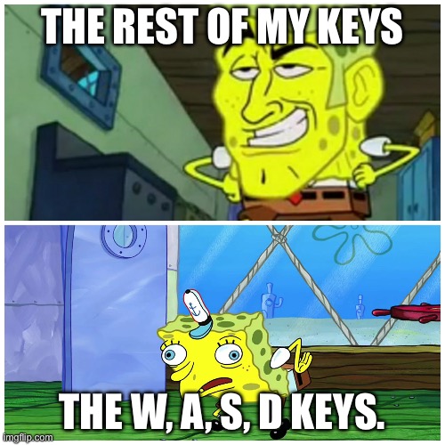 hmm | THE REST OF MY KEYS; THE W, A, S, D KEYS. | image tagged in spongebob handsome vs spongebob ugly | made w/ Imgflip meme maker