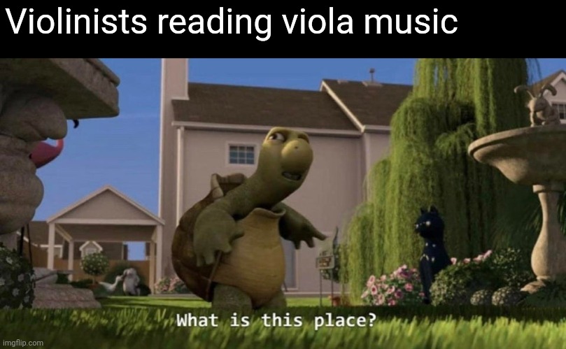 What is this place | Violinists reading viola music | image tagged in what is this place | made w/ Imgflip meme maker
