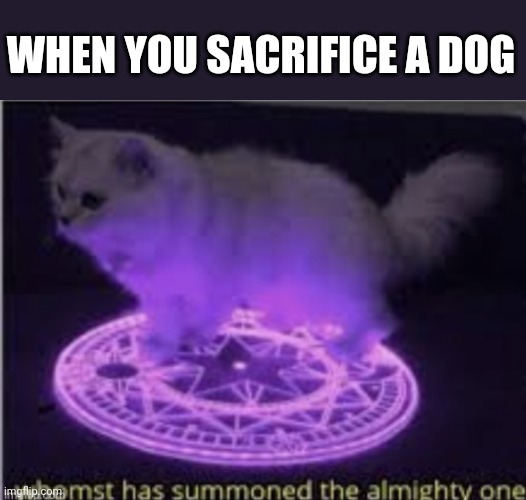 Pov u sacrifice a dog | WHEN YOU SACRIFICE A DOG | image tagged in cat,demon,whomst has summoned the almighty one | made w/ Imgflip meme maker