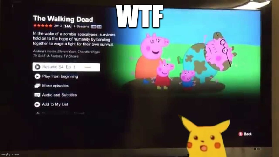 Peppa Pig Netflix Glitch | WTF | image tagged in peppa pig netflix glitch | made w/ Imgflip meme maker