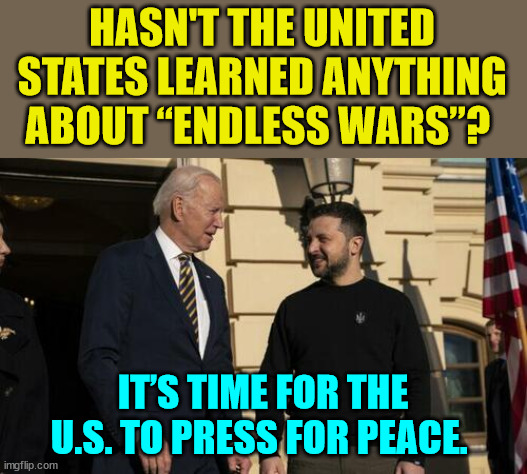 It’s time for the U.S. to press for peace. | HASN'T THE UNITED STATES LEARNED ANYTHING ABOUT “ENDLESS WARS”? IT’S TIME FOR THE U.S. TO PRESS FOR PEACE. | image tagged in peace,now,its time to stop | made w/ Imgflip meme maker