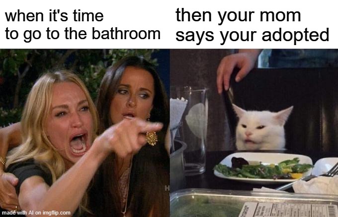 the hell- | when it's time to go to the bathroom; then your mom says your adopted | image tagged in memes,woman yelling at cat | made w/ Imgflip meme maker