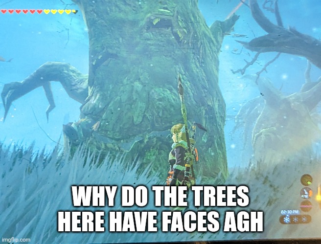 Why | WHY DO THE TREES HERE HAVE FACES AGH | image tagged in creepy,tree,face | made w/ Imgflip meme maker