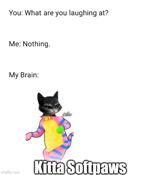 What are you laughing at | Kitta Softpaws | image tagged in what are you laughing at | made w/ Imgflip meme maker