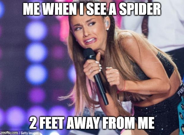 ME when i see a spider | ME WHEN I SEE A SPIDER; 2 FEET AWAY FROM ME | image tagged in ariana grande | made w/ Imgflip meme maker