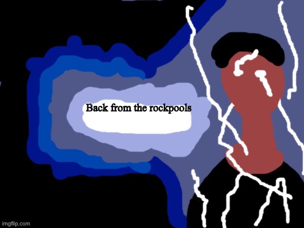 You should_______NOW | Back from the rockpools | image tagged in you should_______now | made w/ Imgflip meme maker