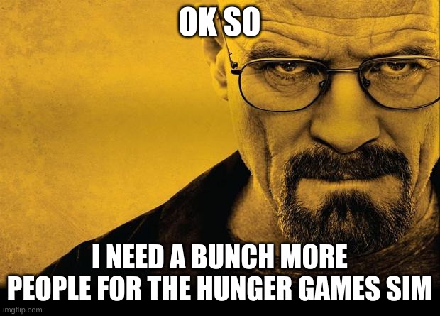 comment and I will put you in | OK SO; I NEED A BUNCH MORE PEOPLE FOR THE HUNGER GAMES SIM | image tagged in breaking bad | made w/ Imgflip meme maker