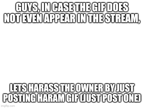 GUYS, IN CASE THE GIF DOES NOT EVEN APPEAR IN THE STREAM, LETS HARASS THE OWNER BY JUST POSTING HARAM GIF (JUST POST ONE) | made w/ Imgflip meme maker