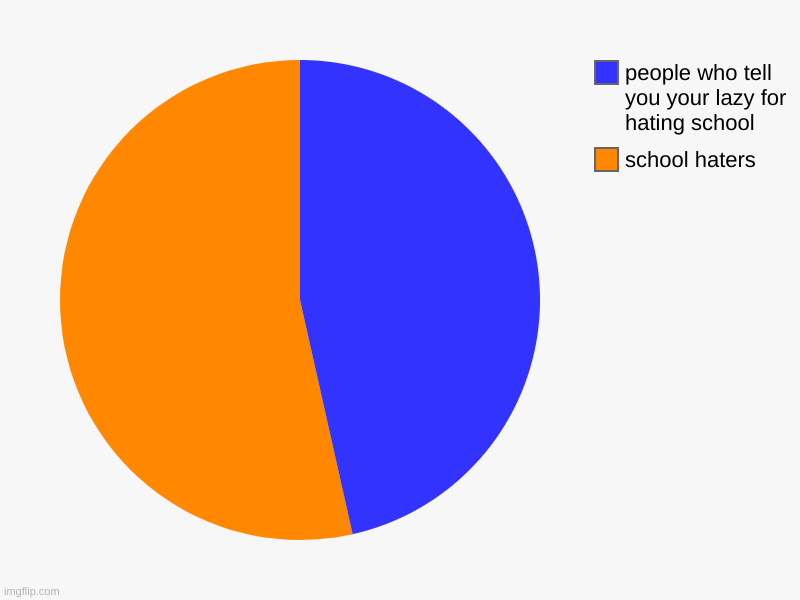 types of people who are in this stream | school haters, people who tell you your lazy for hating school | image tagged in charts,pie charts | made w/ Imgflip chart maker