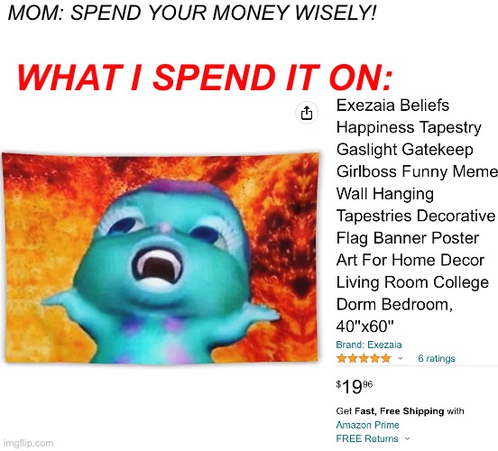I did spend it wisely | MOM: SPEND YOUR MONEY WISELY! WHAT I SPEND IT ON: | image tagged in amazon | made w/ Imgflip meme maker