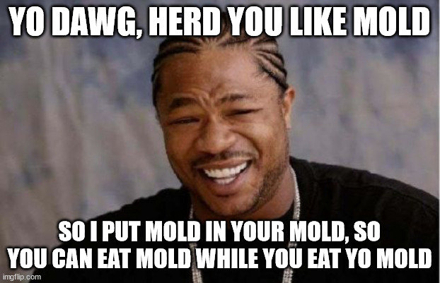 fkin blue cheese | YO DAWG, HERD YOU LIKE MOLD; SO I PUT MOLD IN YOUR MOLD, SO YOU CAN EAT MOLD WHILE YOU EAT YO MOLD | image tagged in memes,yo dawg heard you | made w/ Imgflip meme maker
