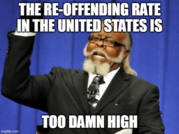 His words are all the explanation needed | THE RE-OFFENDING RATE IN THE UNITED STATES IS; TOO DAMN HIGH | image tagged in memes,too damn high,re-offending rate,united states,prison system,crime | made w/ Imgflip meme maker