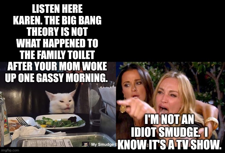LISTEN HERE KAREN. THE BIG BANG THEORY IS NOT WHAT HAPPENED TO THE FAMILY TOILET AFTER YOUR MOM WOKE UP ONE GASSY MORNING. I'M NOT AN IDIOT SMUDGE.  I KNOW IT'S A TV SHOW. | image tagged in smudge the cat | made w/ Imgflip meme maker