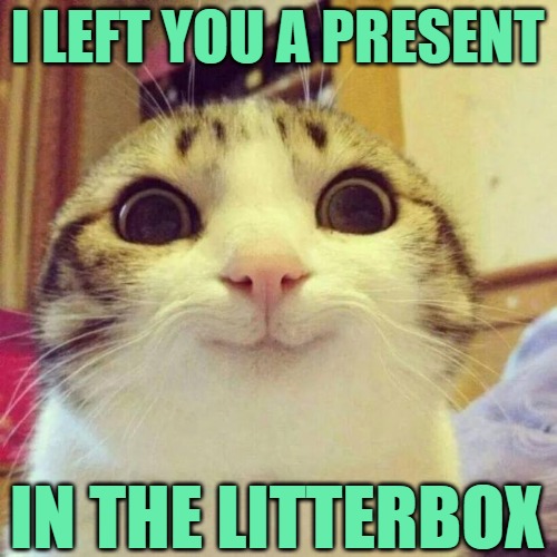 The Gift that Keeps on Giving | I LEFT YOU A PRESENT; IN THE LITTERBOX | image tagged in memes,smiling cat,funny memes,cats,lol,petlovers | made w/ Imgflip meme maker