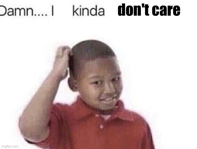 Damn I kinda don’t meme | don't care | image tagged in damn i kinda don t meme | made w/ Imgflip meme maker
