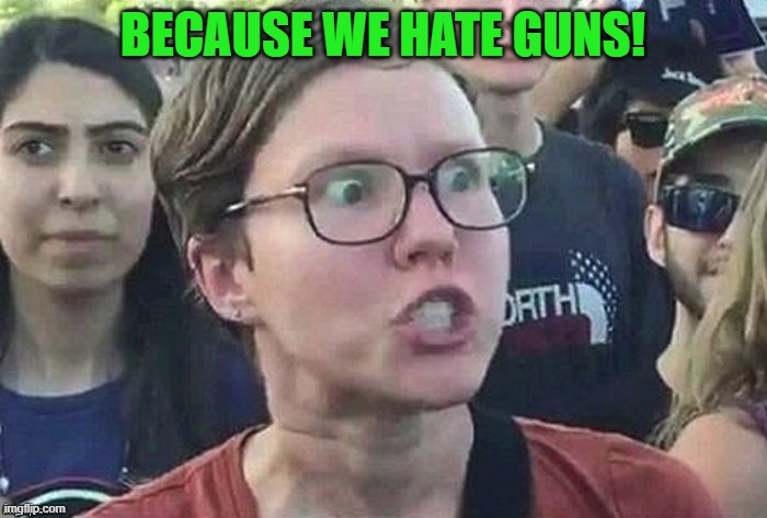 meme angry woman | BECAUSE WE HATE GUNS! | image tagged in meme angry woman | made w/ Imgflip meme maker