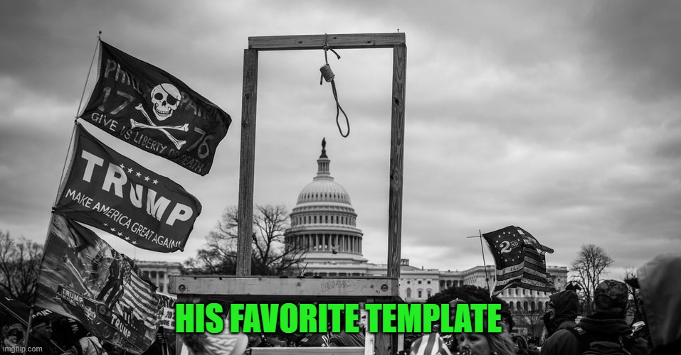 Capitol Hill riot gallows | HIS FAVORITE TEMPLATE | image tagged in capitol hill riot gallows | made w/ Imgflip meme maker