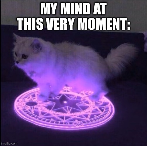 Demonic Little Grey Cat | MY MIND AT THIS VERY MOMENT: | image tagged in demonic little grey cat | made w/ Imgflip meme maker