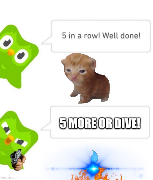 bEg 4 yOur LiFe iN sPaNiSh -Duo the not nice owl | 5 MORE OR DIVE! | image tagged in duolingo 5 in a row | made w/ Imgflip meme maker