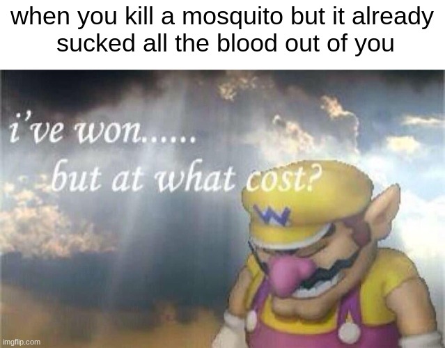 im always too late:( | when you kill a mosquito but it already
 sucked all the blood out of you | image tagged in ive won but at what cost | made w/ Imgflip meme maker