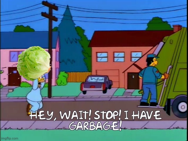 Stop posting about lettuce | image tagged in hey wait stop i have garbage | made w/ Imgflip meme maker