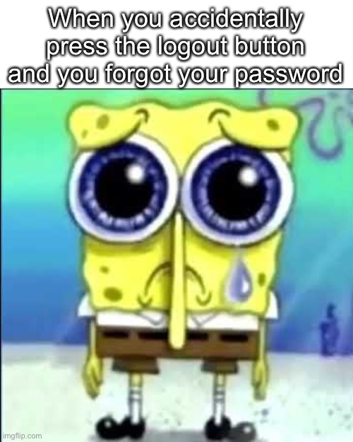Except if you have Password AutoFill |  When you accidentally press the logout button and you forgot your password | image tagged in memes,sad spongebob,imgflip,password,stop reading the tags,stop | made w/ Imgflip meme maker