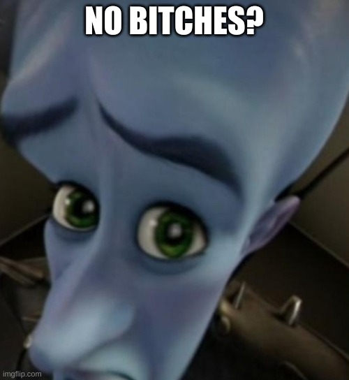 Megamind no bitches | NO BITCHES? | image tagged in megamind no bitches | made w/ Imgflip meme maker