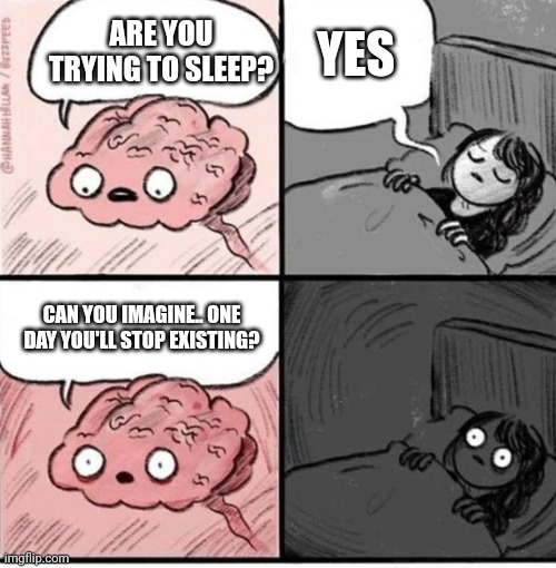 Existential crisis | ARE YOU TRYING TO SLEEP? YES; CAN YOU IMAGINE.. ONE DAY YOU'LL STOP EXISTING? | image tagged in trying to sleep | made w/ Imgflip meme maker